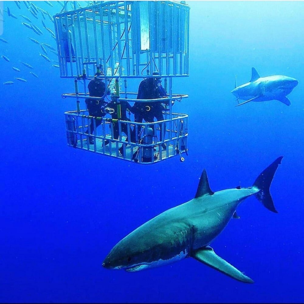 Фото Atlanticview Cape Town Boutique Hotel