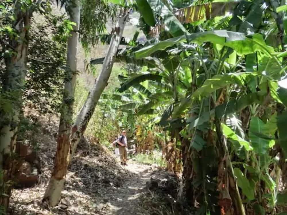 Фото Praiano Aparthotel