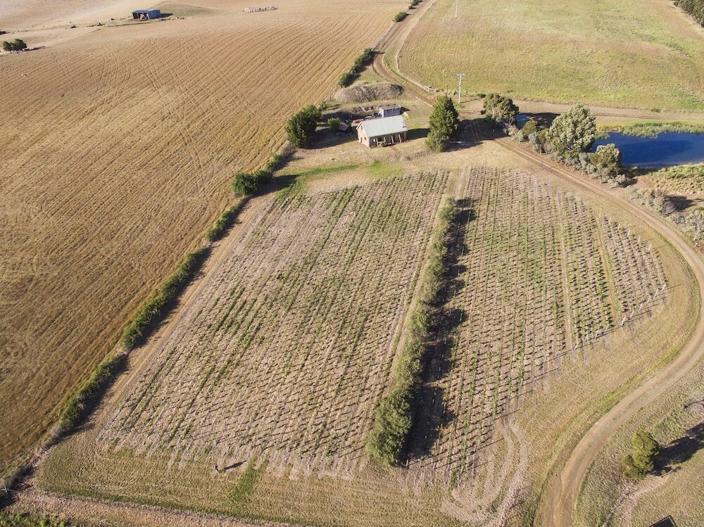 Фото Charles Reuben Estate
