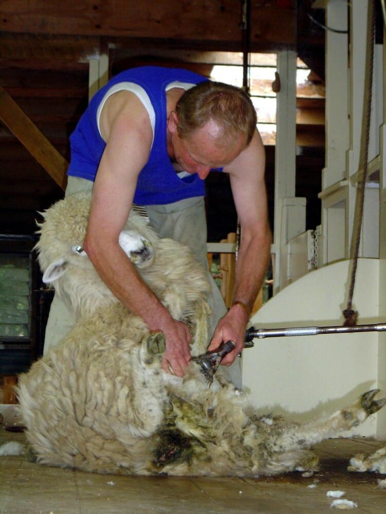 Фото The Point Bed & Breakfast