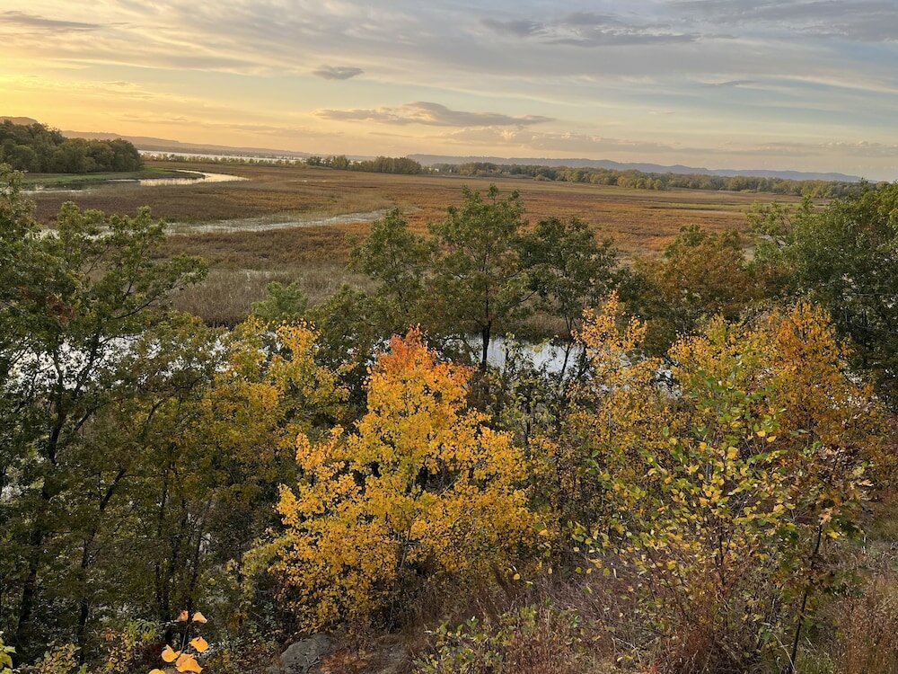 Фото Little Bluff Inn