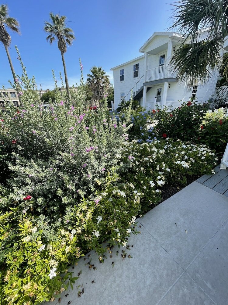 Фото The George Manor