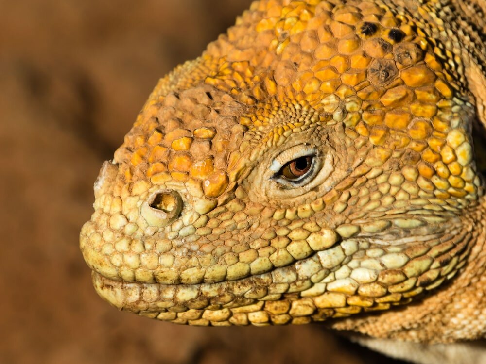 Фото Casa Fragata