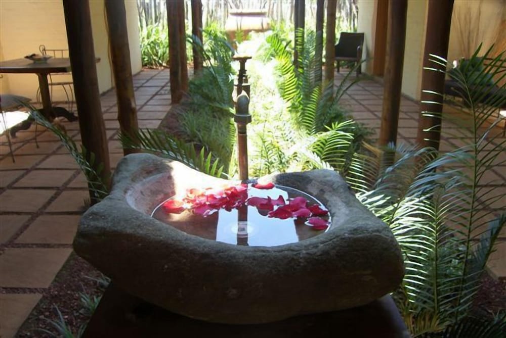 Фото African Silhouette Guesthouse