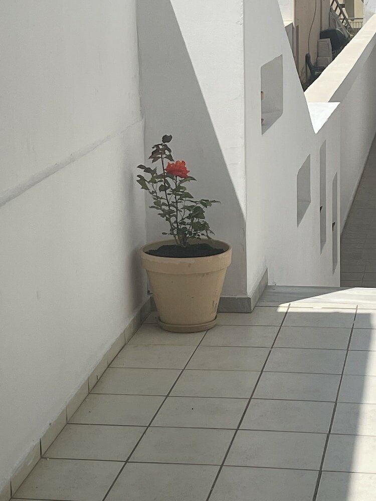 Фото Coralli Beach Hotel