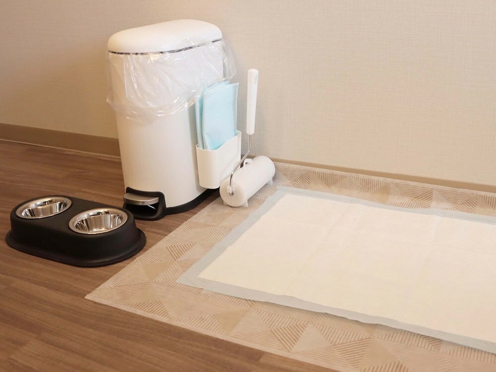 Фото Toyoko Inn Fujisan Otsuki-eki