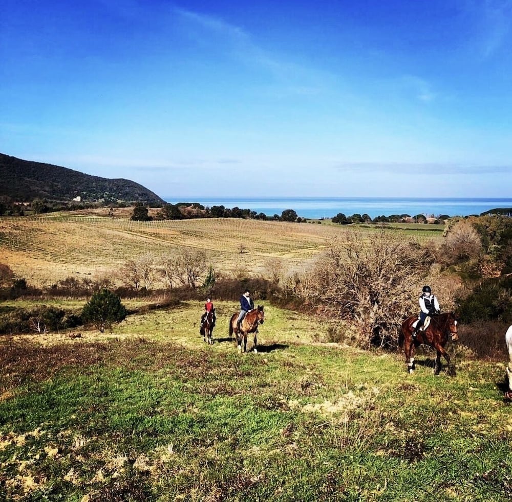 Фото Cascina al colle