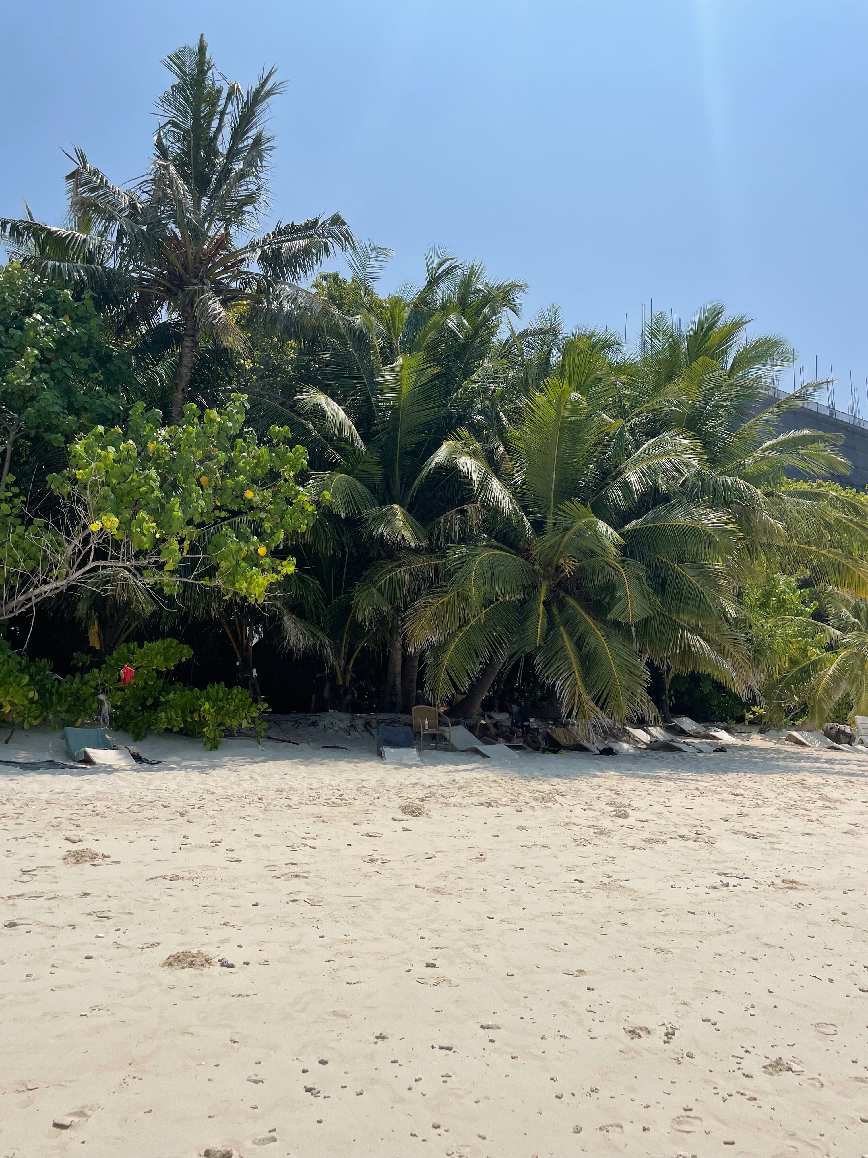 Фото Paguro Villa