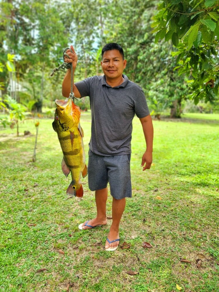 Фото Ponta Poranga Jungle Lodge