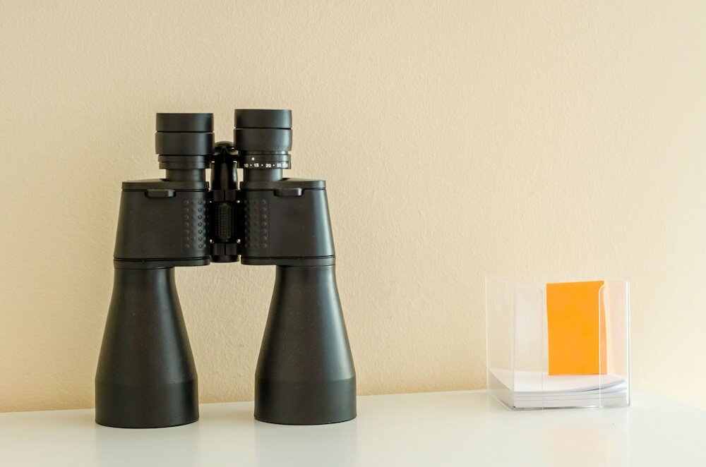 Фото Apartment Vedrana