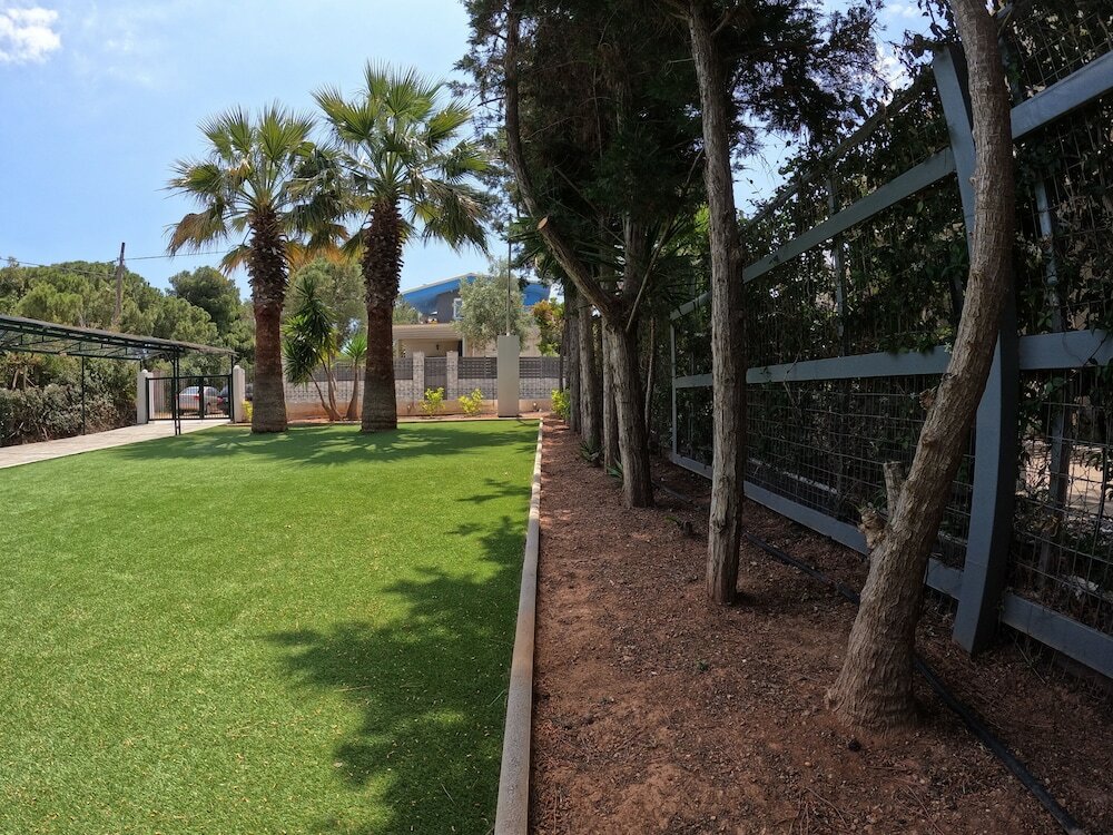 Фото Hector Villa Airport