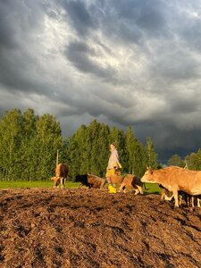 Каникулы на Люнде