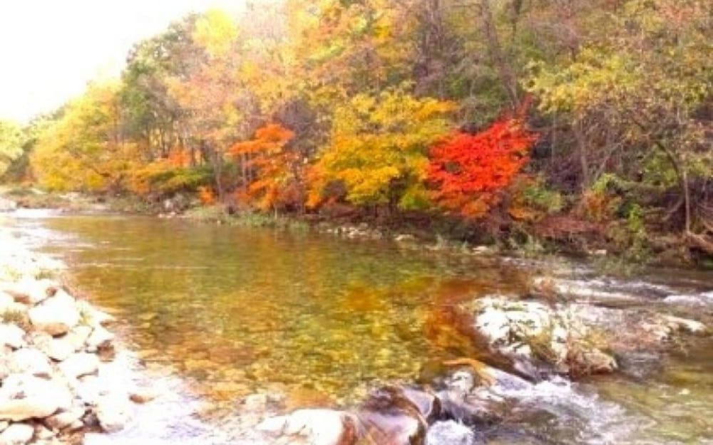 Фото Jeongseon Daon Pension