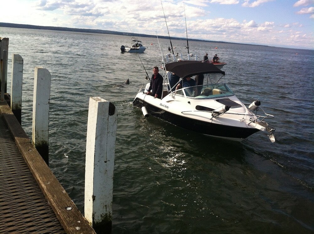 Фото Corinella On The Esplanade Bed & Breakfast