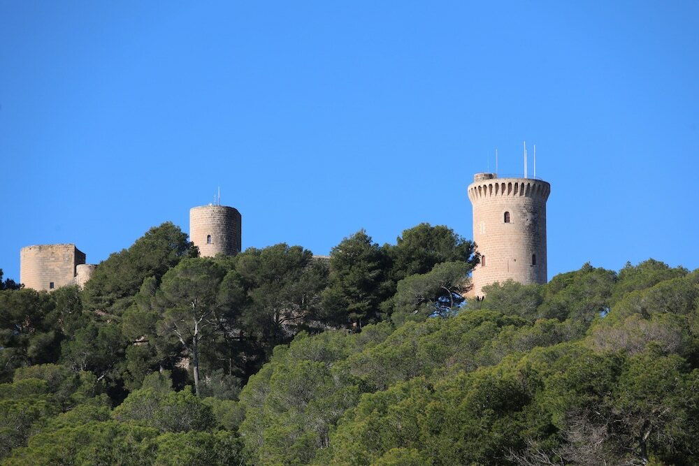 Фото 155229430260