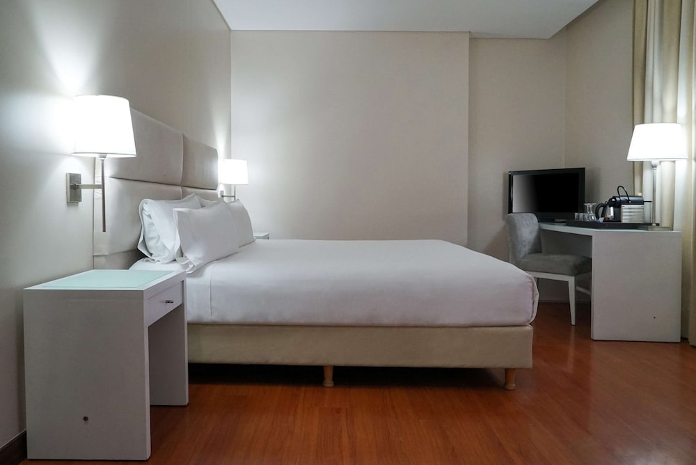 Фото Nh Mendoza Cordillera