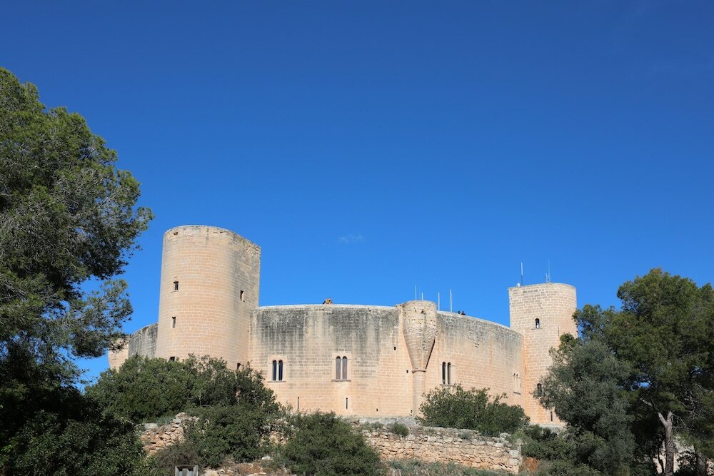 Фото 155229430260