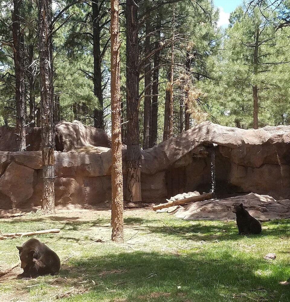 Фото Comfort Inn Near Grand Canyon