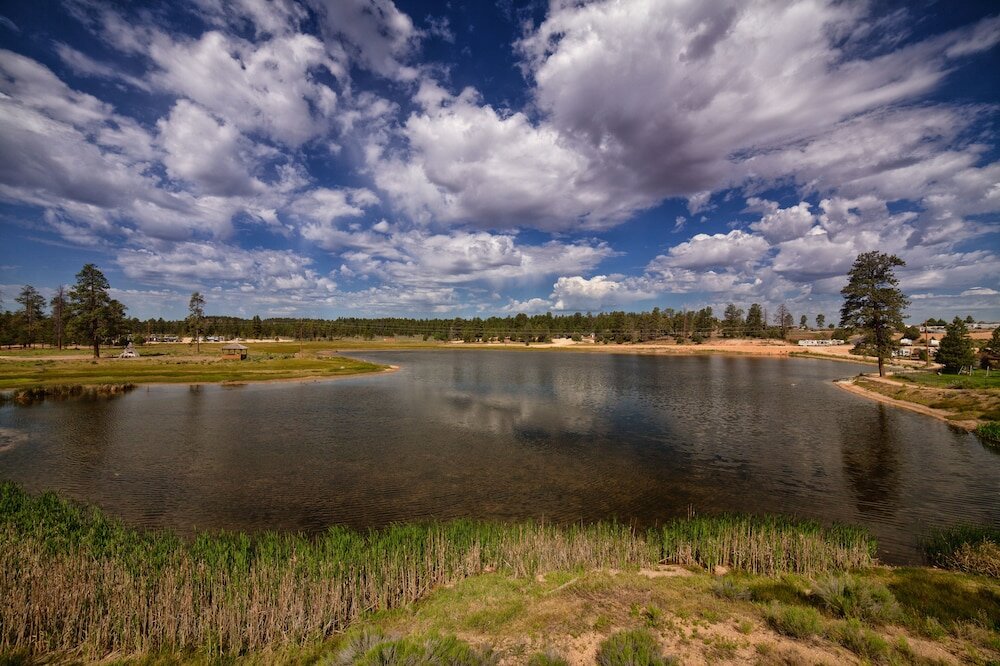 Фото Best Western Plus Ruby's Inn