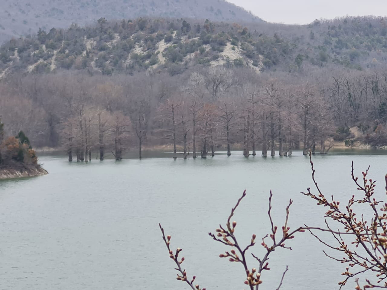 Фото Заповедный коттедж