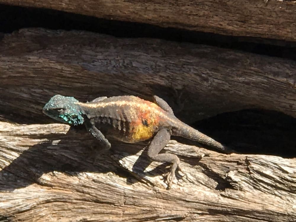 Фото Manor on the Bay