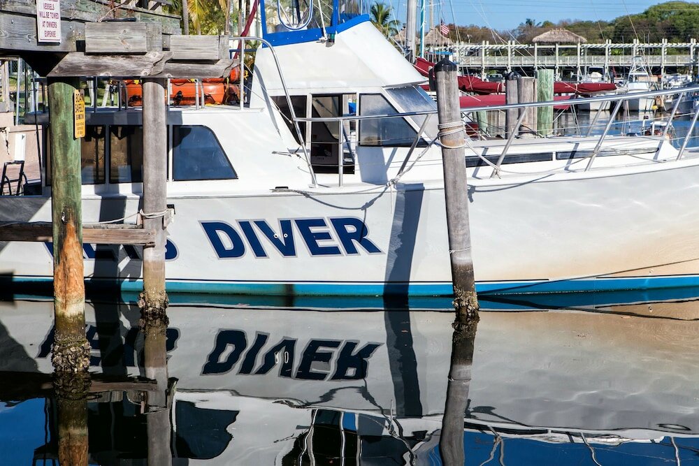 Фото Marina Del Mar Resort and Marina