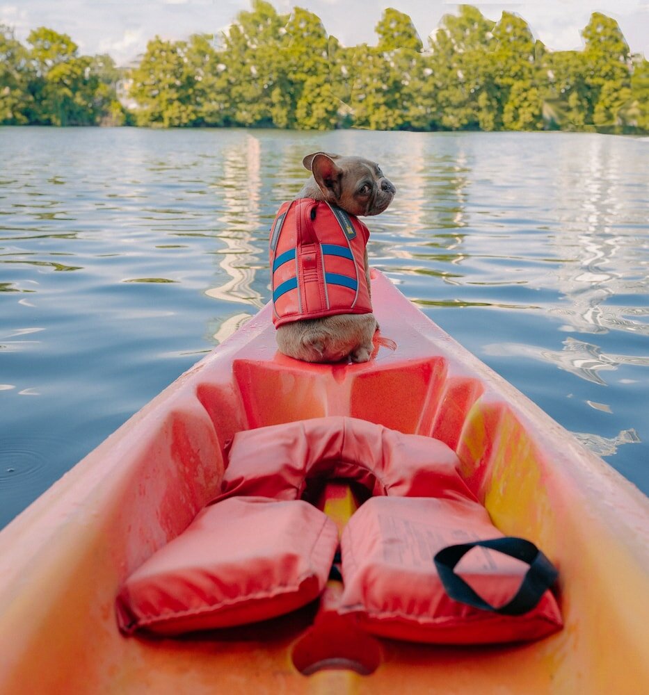 Фото Hilton Denver City Center