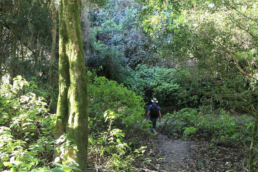 Фото Far Hills Hotel