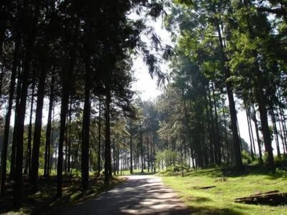 Фото Piggs Peak Hotel and Casino