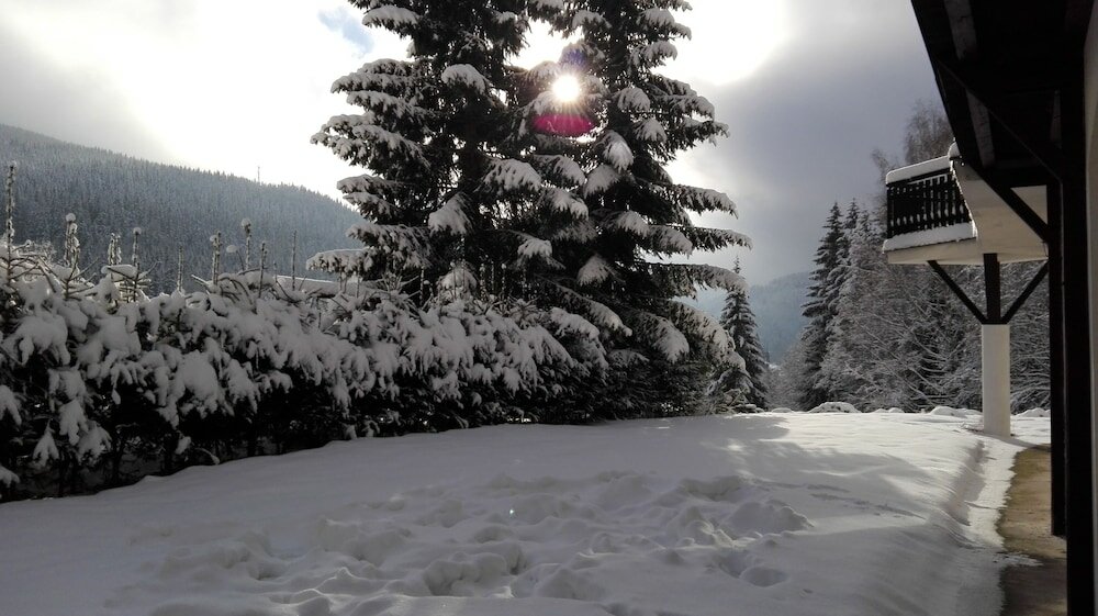 Фото Pension Borůvka