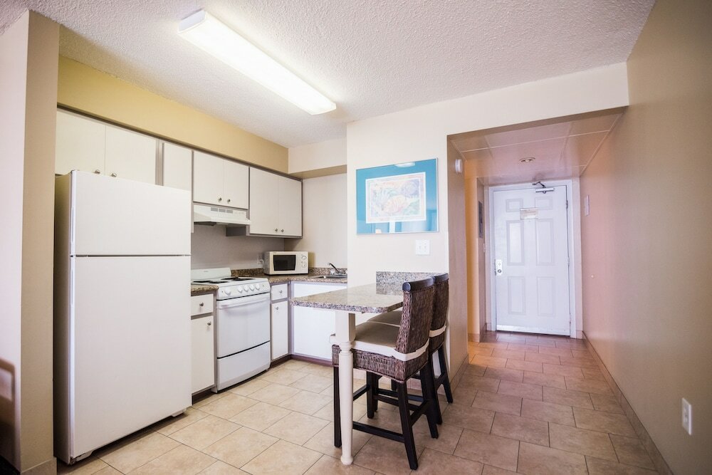 Фото Osprey on the Gulf