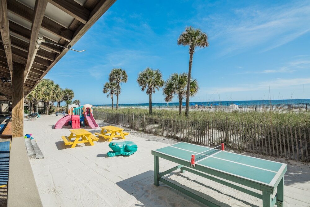 Фото Osprey on the Gulf
