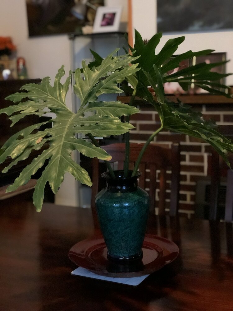 Фото Albany Foreshore Guest House