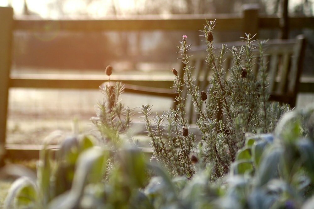 Фото The Apartments Quidhampton Mill