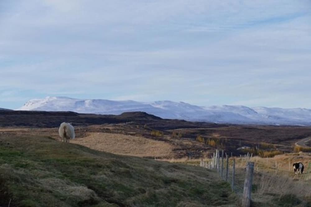 Фото Litlabjarg Guesthouse