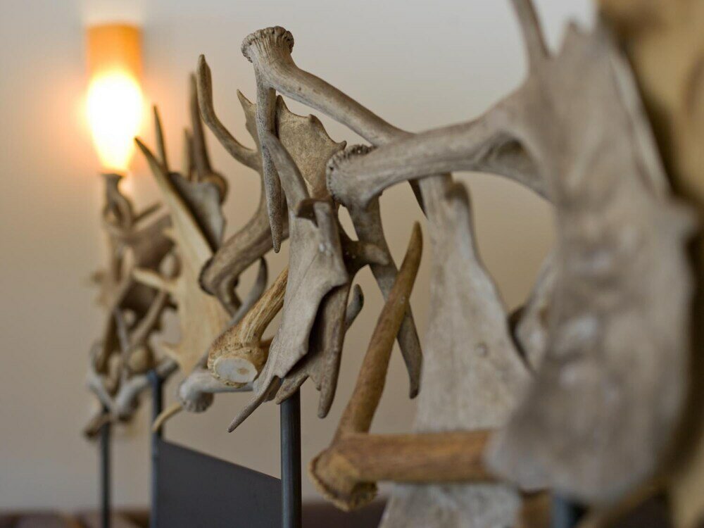 Фото Hotel Moorhof