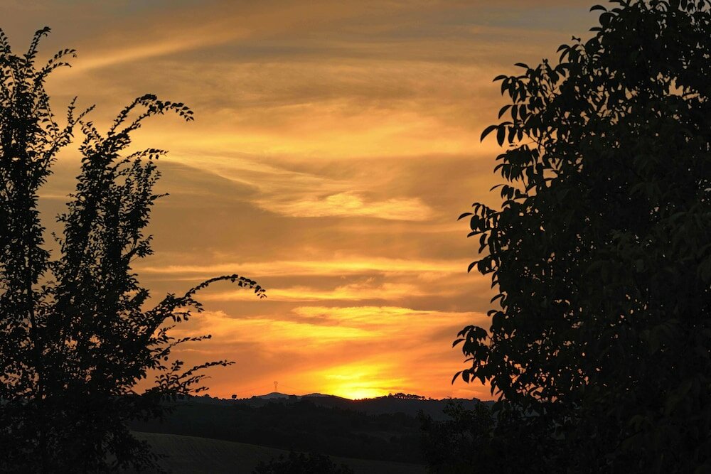 Фото Tenuta Marchesi Fezia