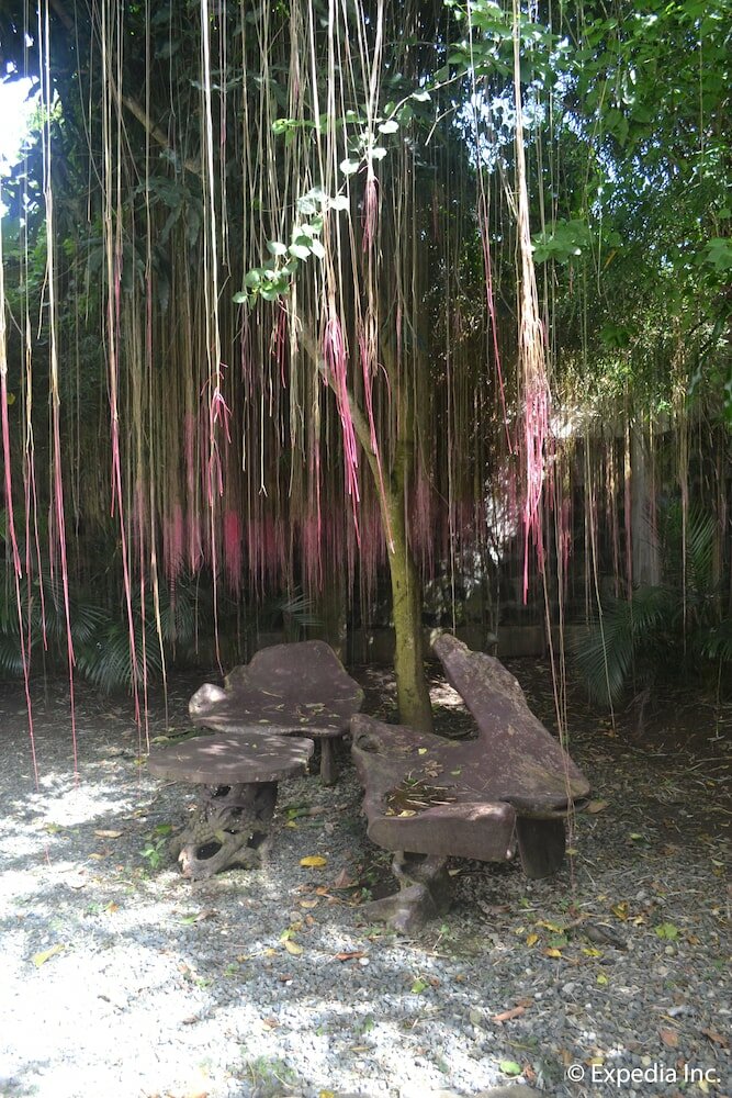 Фото Chateau Beatrice Bed & Breakfast