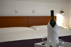 Гостиница Hotel Fala