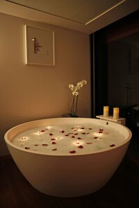 Гостиница 1866 Court & Suites