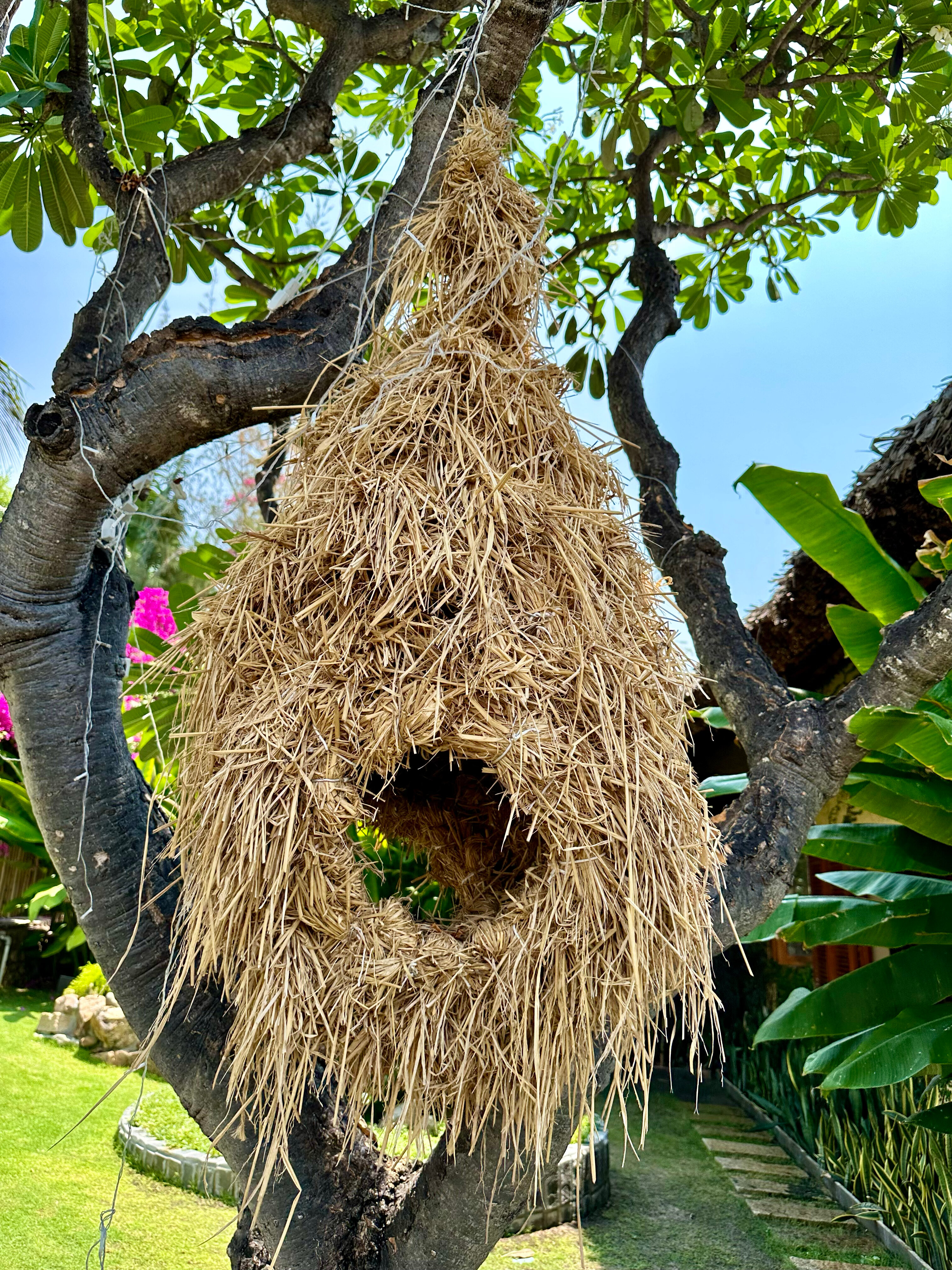 Фото Aroma Beach Resort & SPA