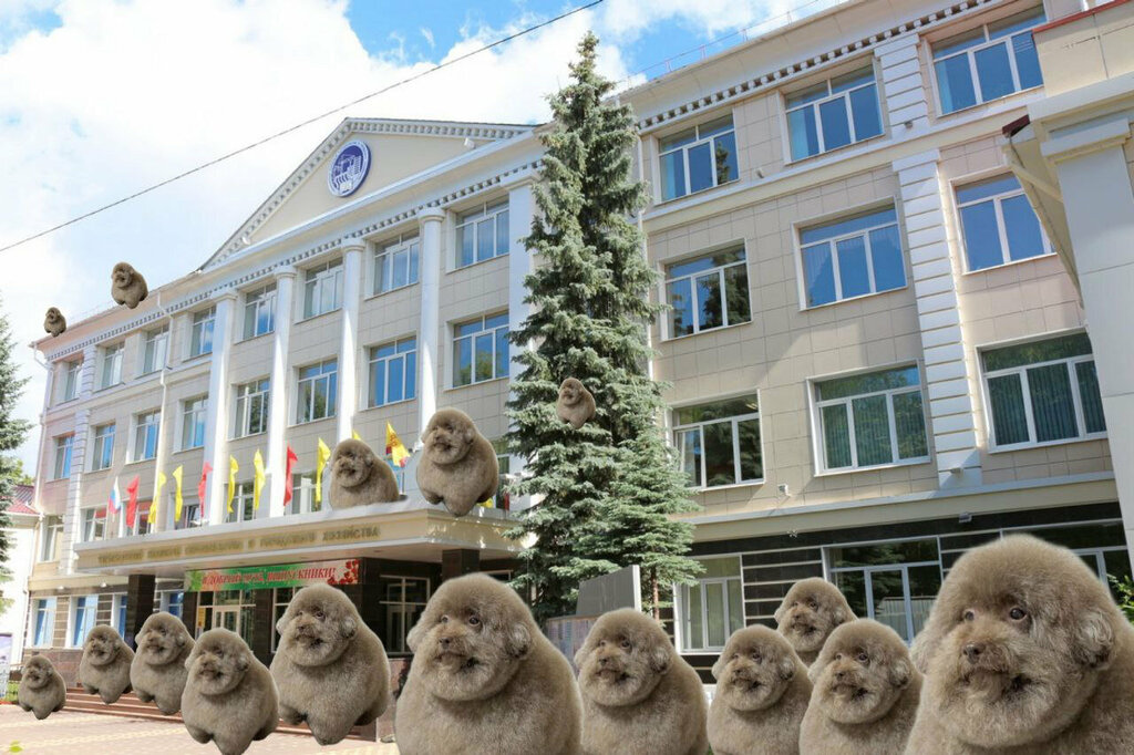Colegio técnico Cheboksary College of Construction and Urban Economy, , foto