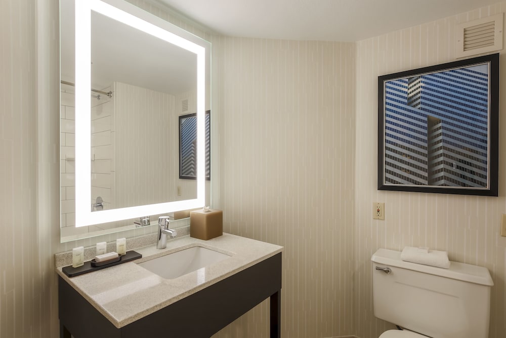 Фото Embassy Suites by Hilton Dallas Love Field
