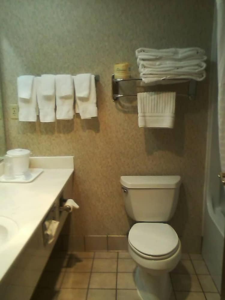 Фото Quality Inn & Suites