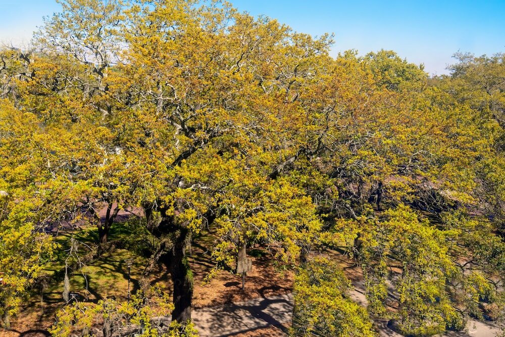 Фото Hampton Inn Savannah Historic District