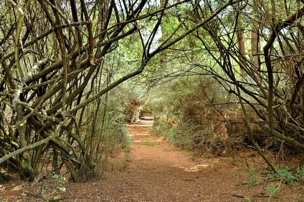 Фото Dunkeld East