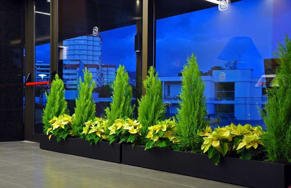 Фото Enotel Magnólia