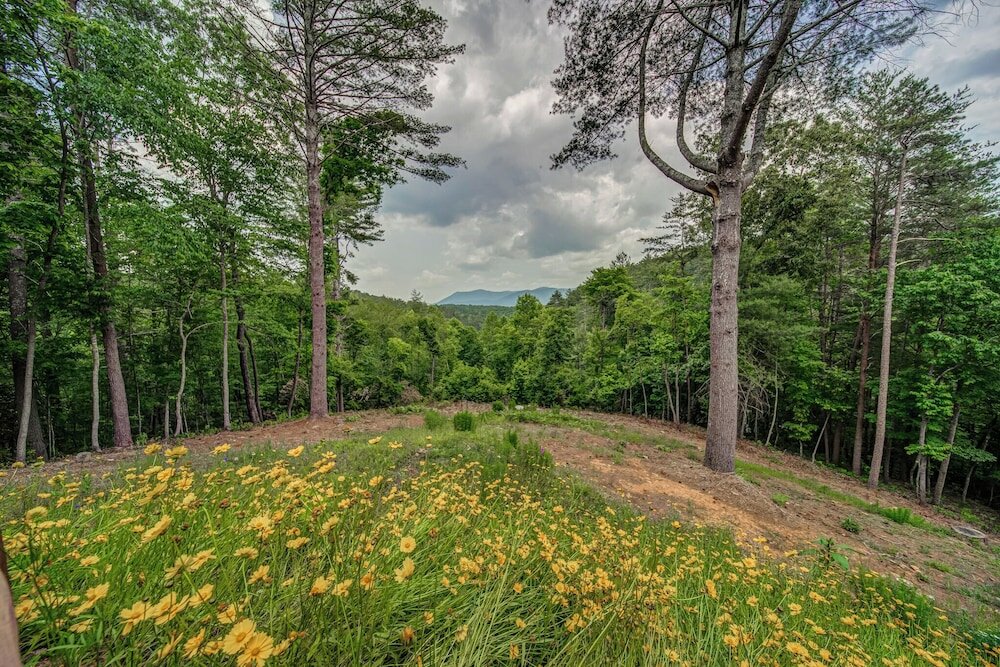 Фото Lazy Days Cabin