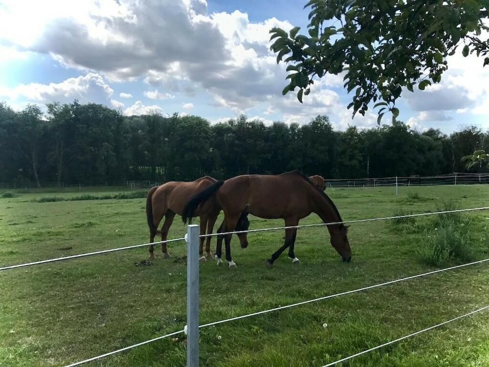 Фото Pension Zelený grunt