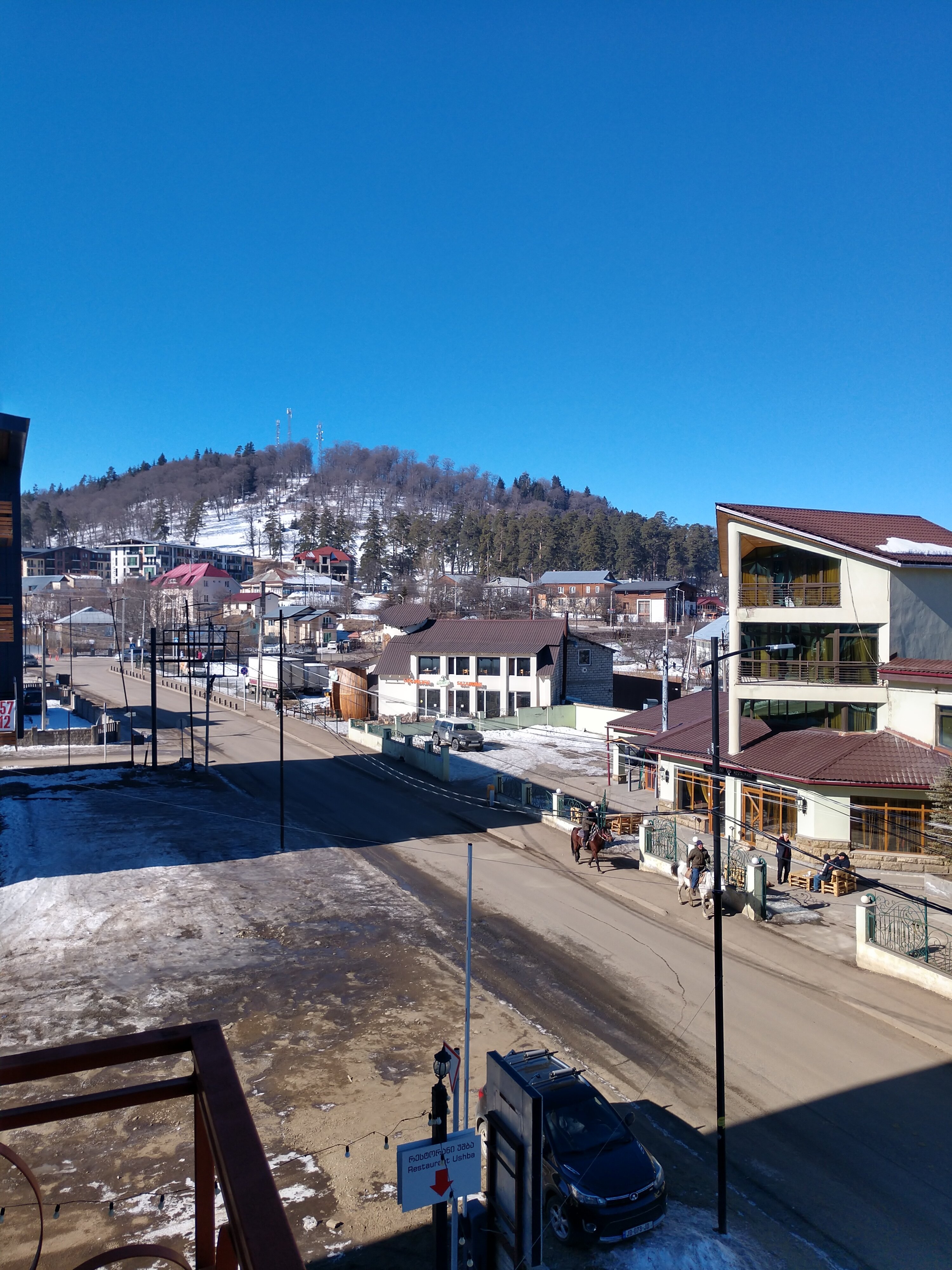 Фото Three Penguins Три Пингвина